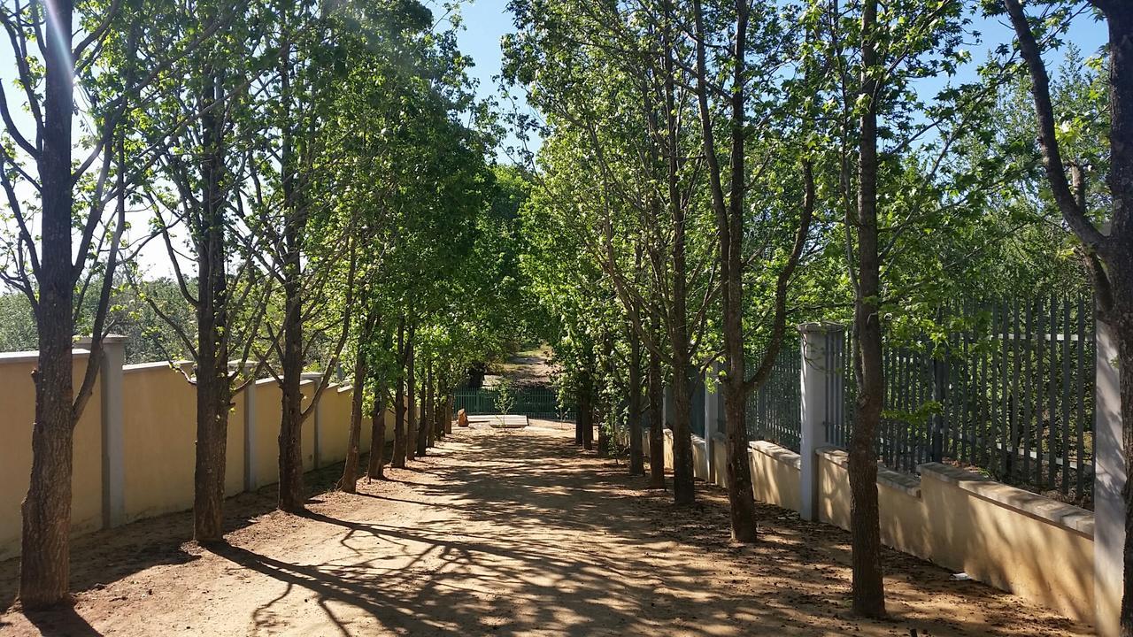 יוהנסבורג Amberhall Guesthouse מראה חיצוני תמונה