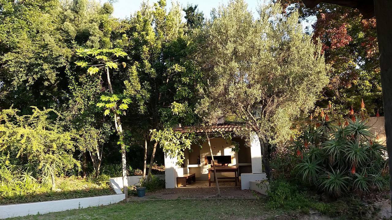 יוהנסבורג Amberhall Guesthouse מראה חיצוני תמונה