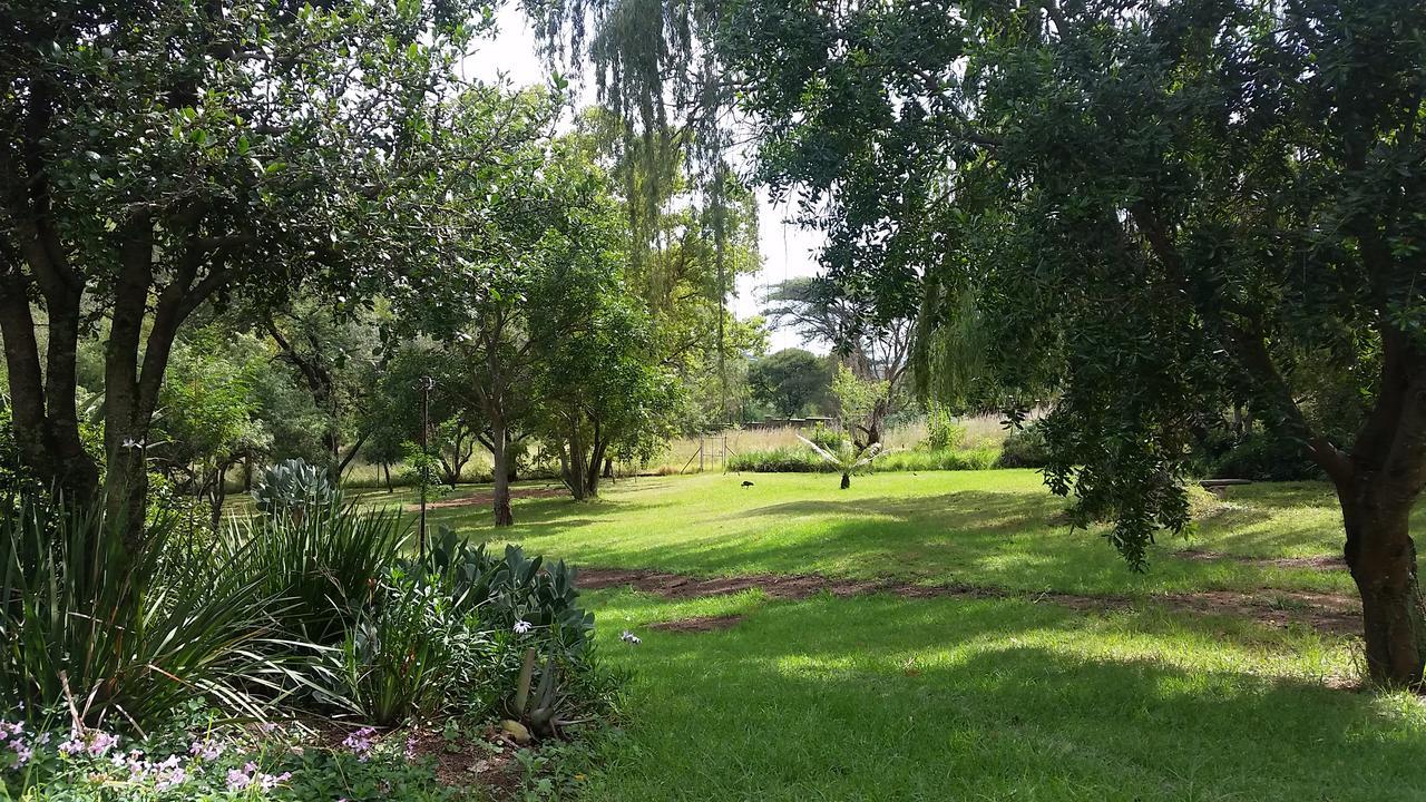 יוהנסבורג Amberhall Guesthouse מראה חיצוני תמונה